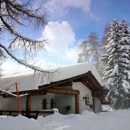 Chalet Bellevue Lejlighed Davos Eksteriør billede